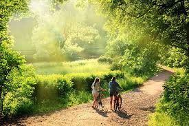 Nature Walks
